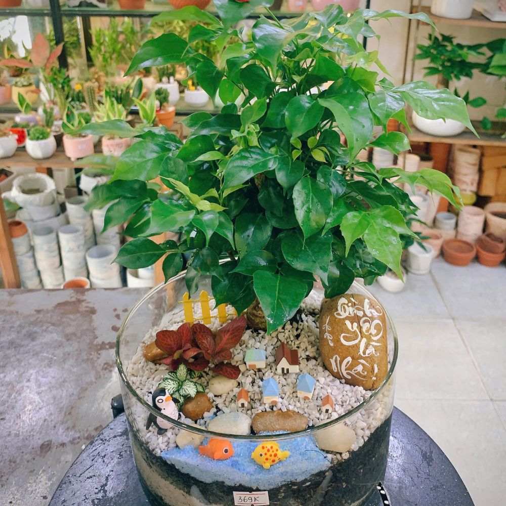 quà tặng tốt nghiệp